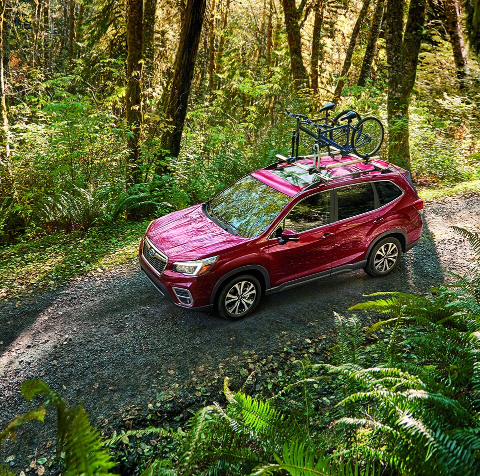 2020-Subaru-Forester-Limited-SUV-L01.png red Subaru Forester SUV parked on a dirt forest trail