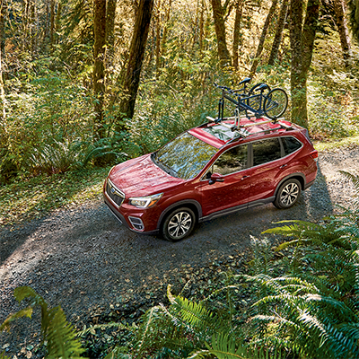 2019 Subaru Forester 2019 Subaru Forester