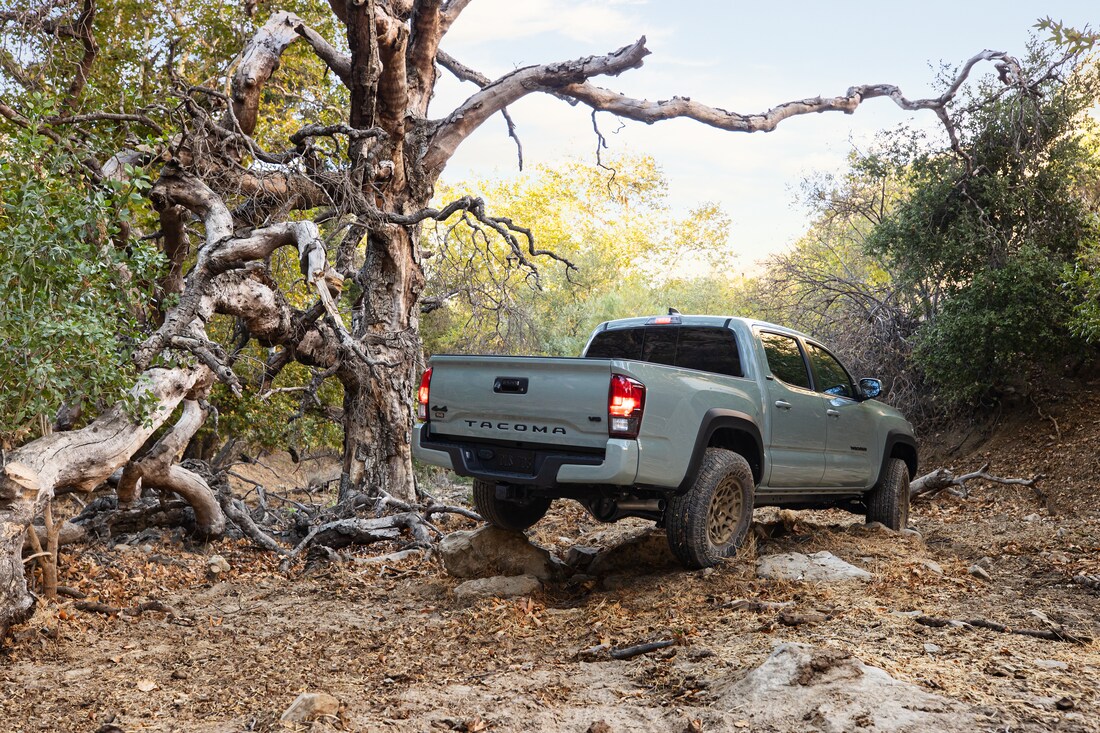 2022-Toyota-Tacoma-Trail-DoubleCab-Truck-L04.png silver Toyota Tacoma truck parked next to a knptted tree, facing away, bed featured