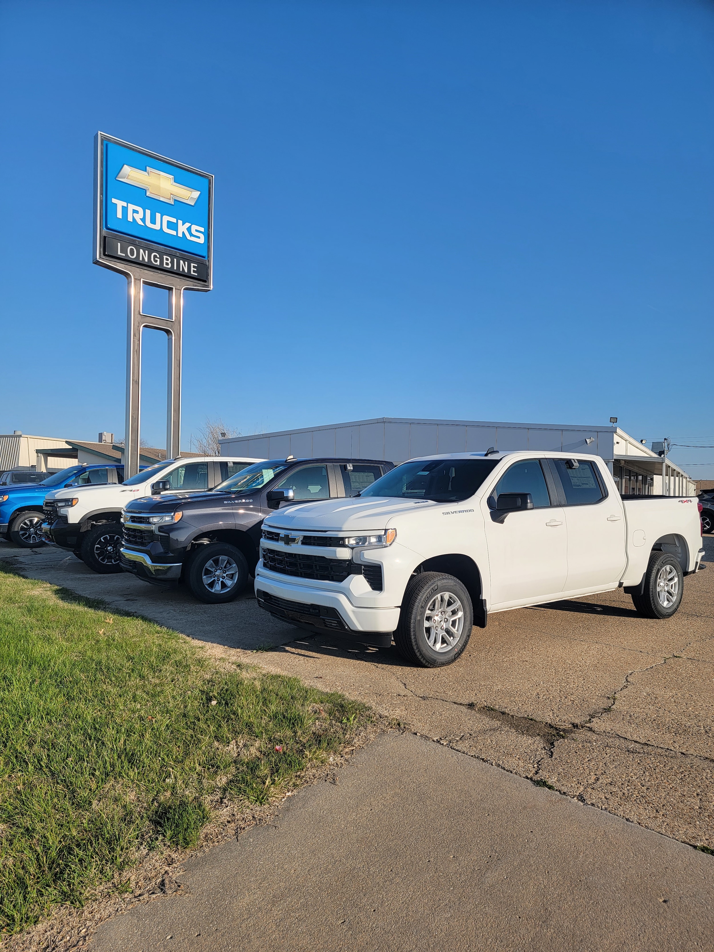 longbine about us 5.jpg