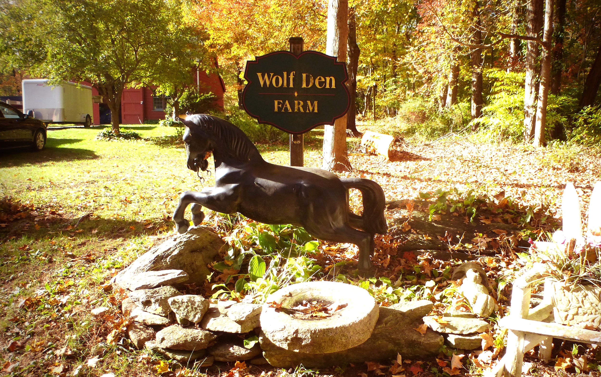 Wolf Den Friesians