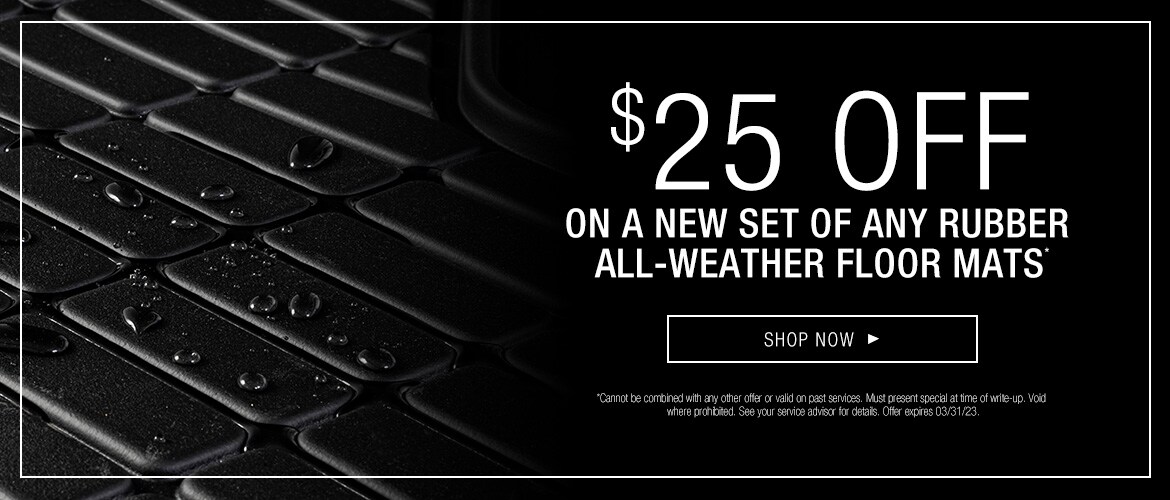LCLG-19899-Mar-ServiceSpecials-3Floormats.jpg
