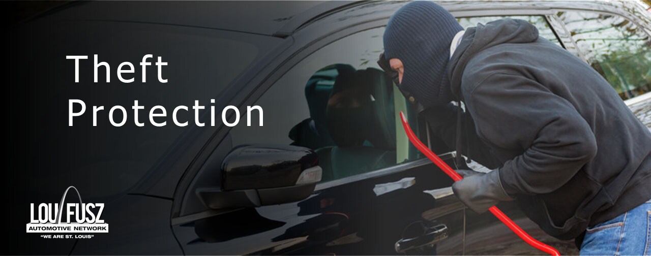 Lou Fusz Theft Protection