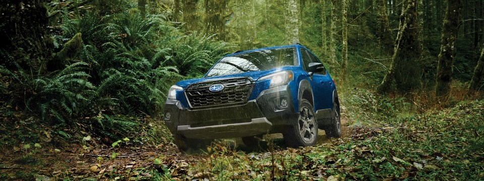 New-Subaru-Forester-Wilderness.jpg