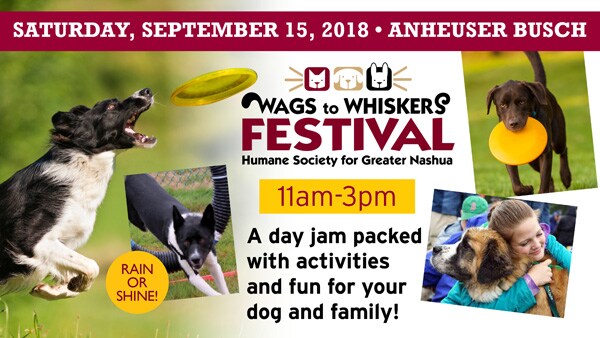 Wags to Whiskers 2018.jpg