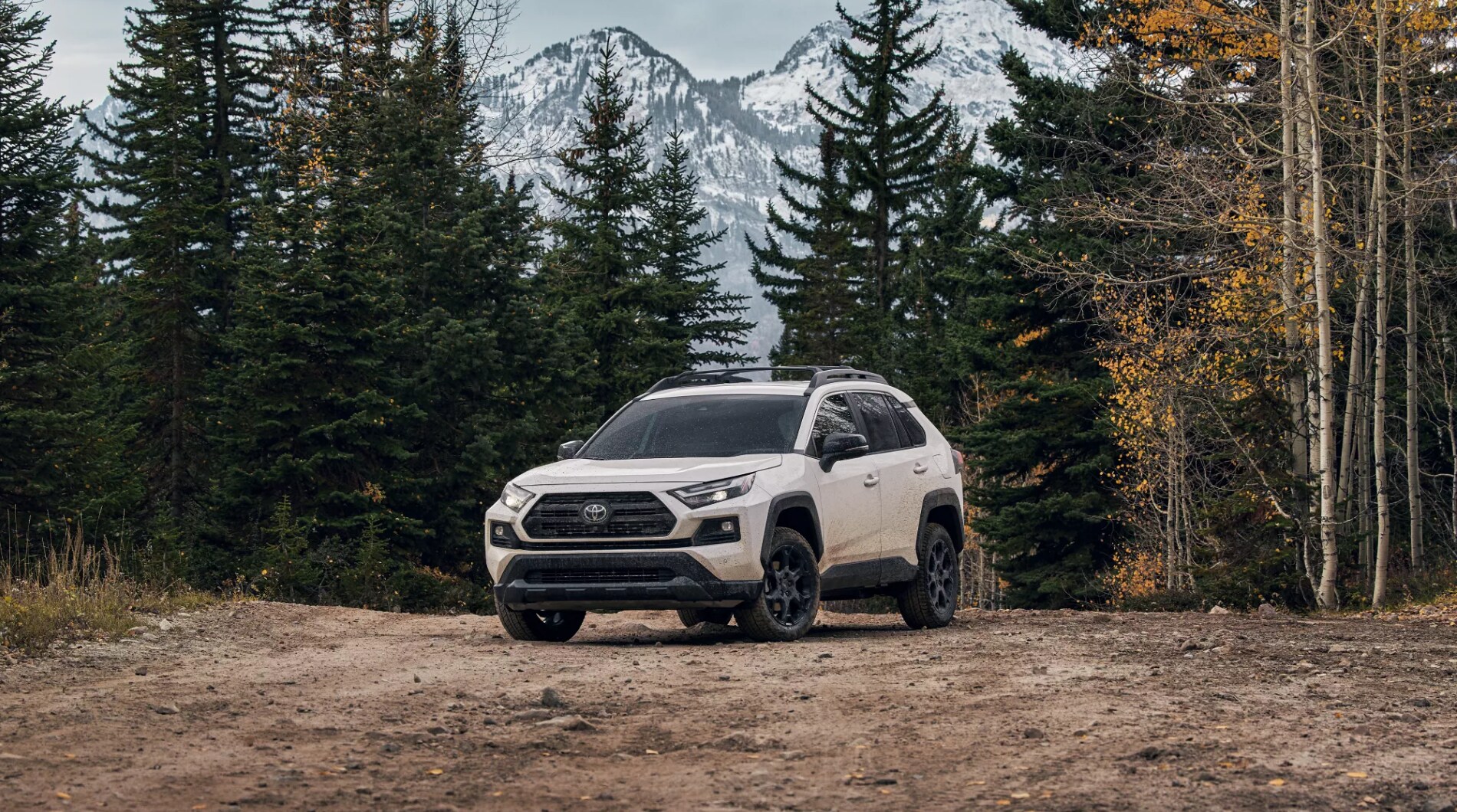 New 2022 Toyota RAV4 Near Me in Lufkin, TX