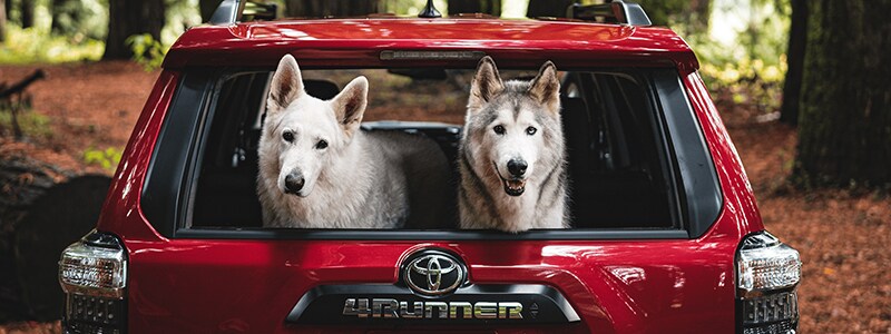 New 2021 Toyota 4Runner Lufkin TX
