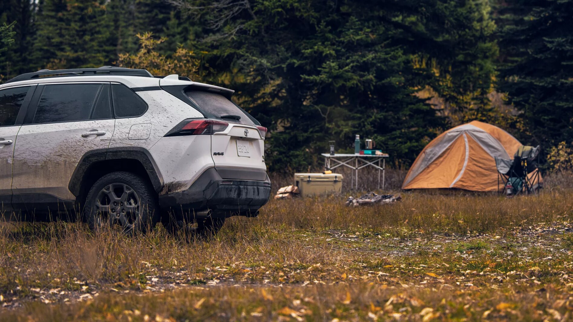 New 2022 RAV4 Near Me - Serving Trinity, TX