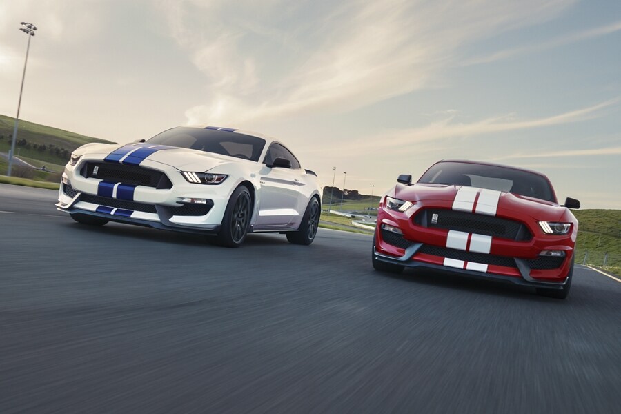 20_FRD_MST_40595_GT350.png