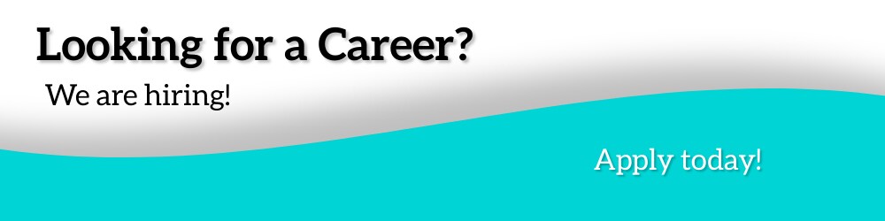 Looking for a Career - .jpg