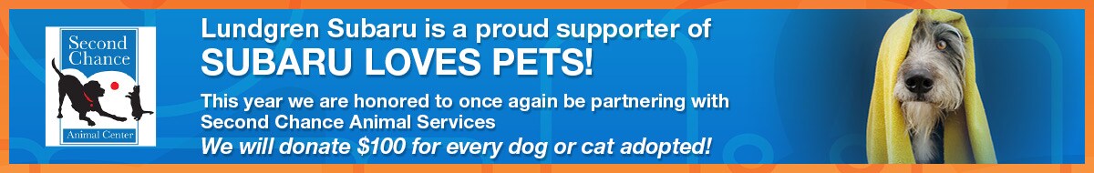 Pets1200x37523 2020 .jpg