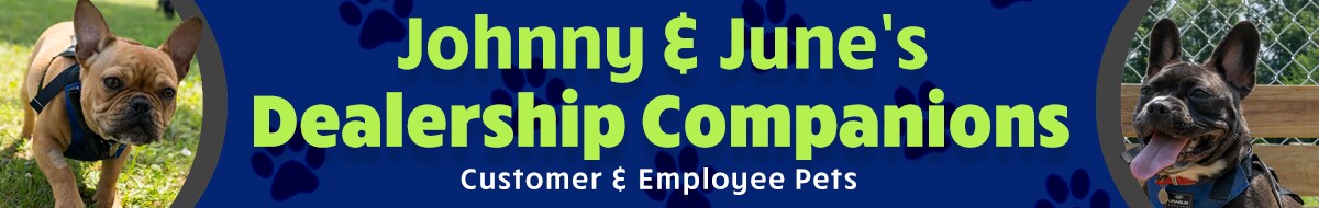 J_J_dealership_companions_1200x190.png