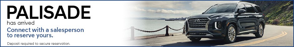 PalisadeBanner.jpg