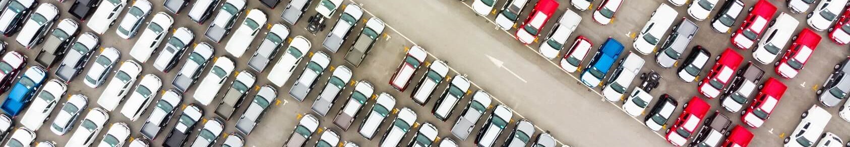 Used Car Dealer