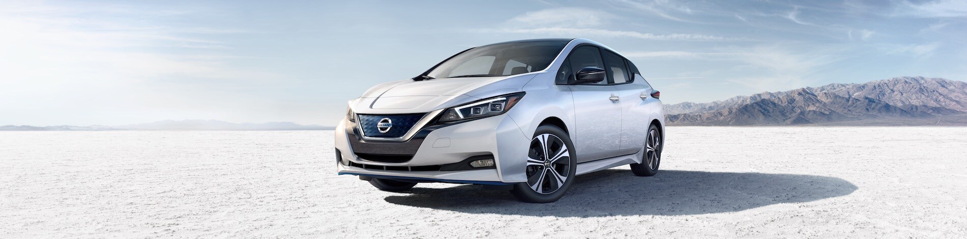 Nissan LEAF Banner