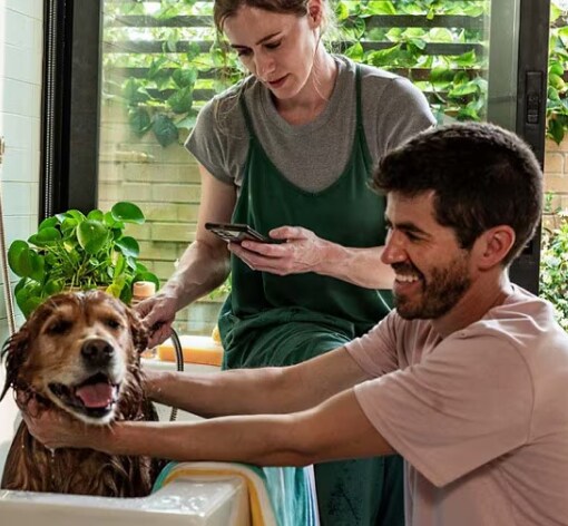 Couple washing their dog at home