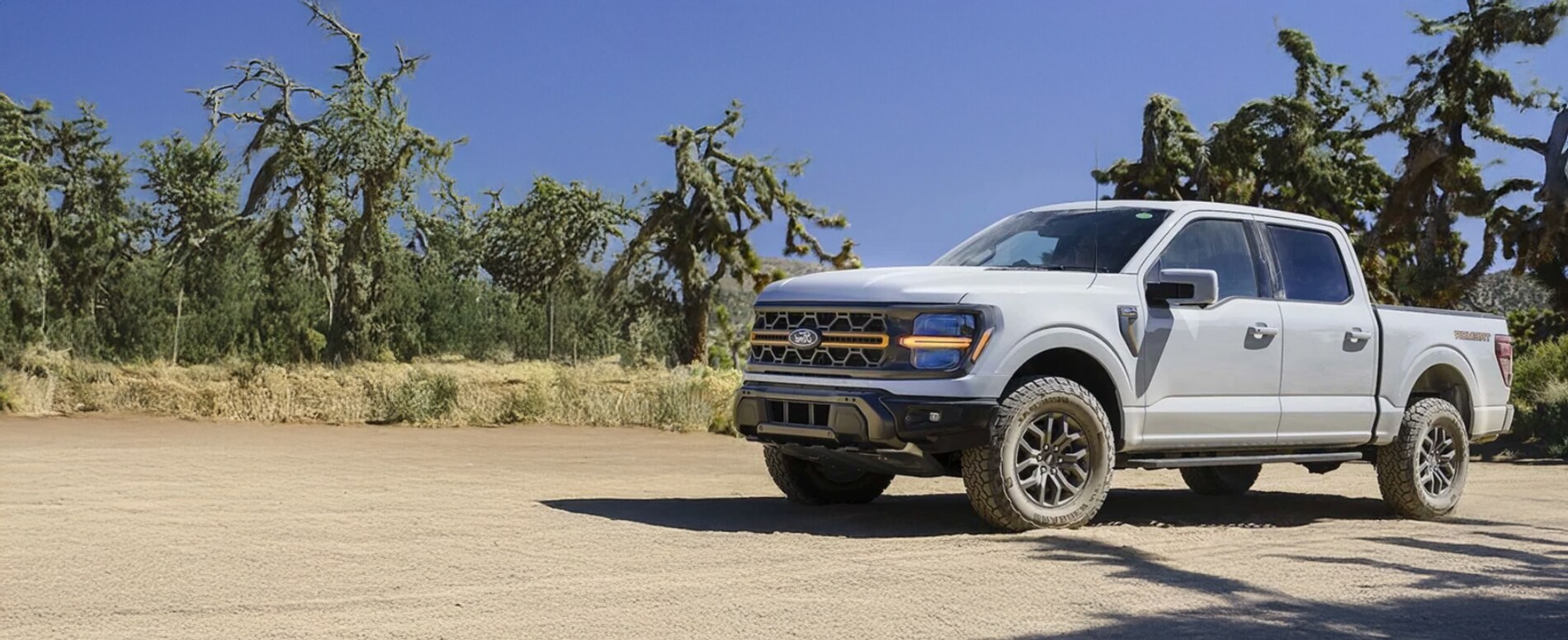 2025 Ford F-150 Lightning Offers