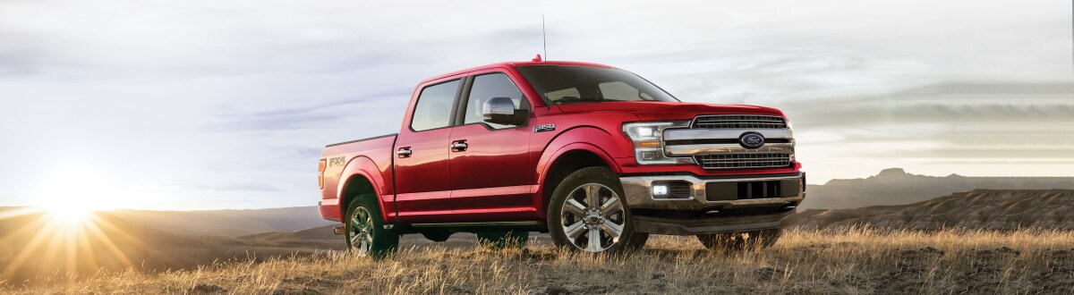 2020 Ford F-150 New Ford F-150 out in the field
