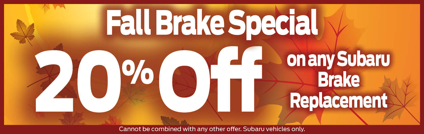 brake ss.jpg