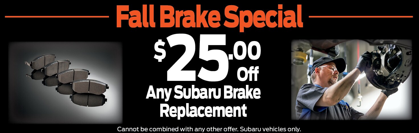 brake ss.jpeg