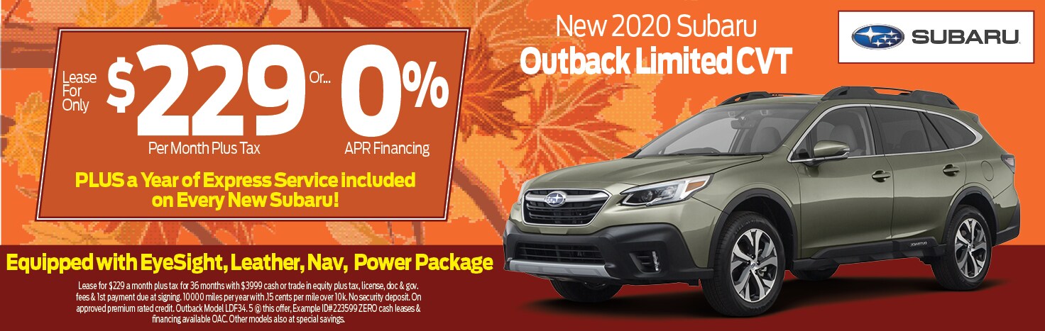 Outback Ltd slide.jpg