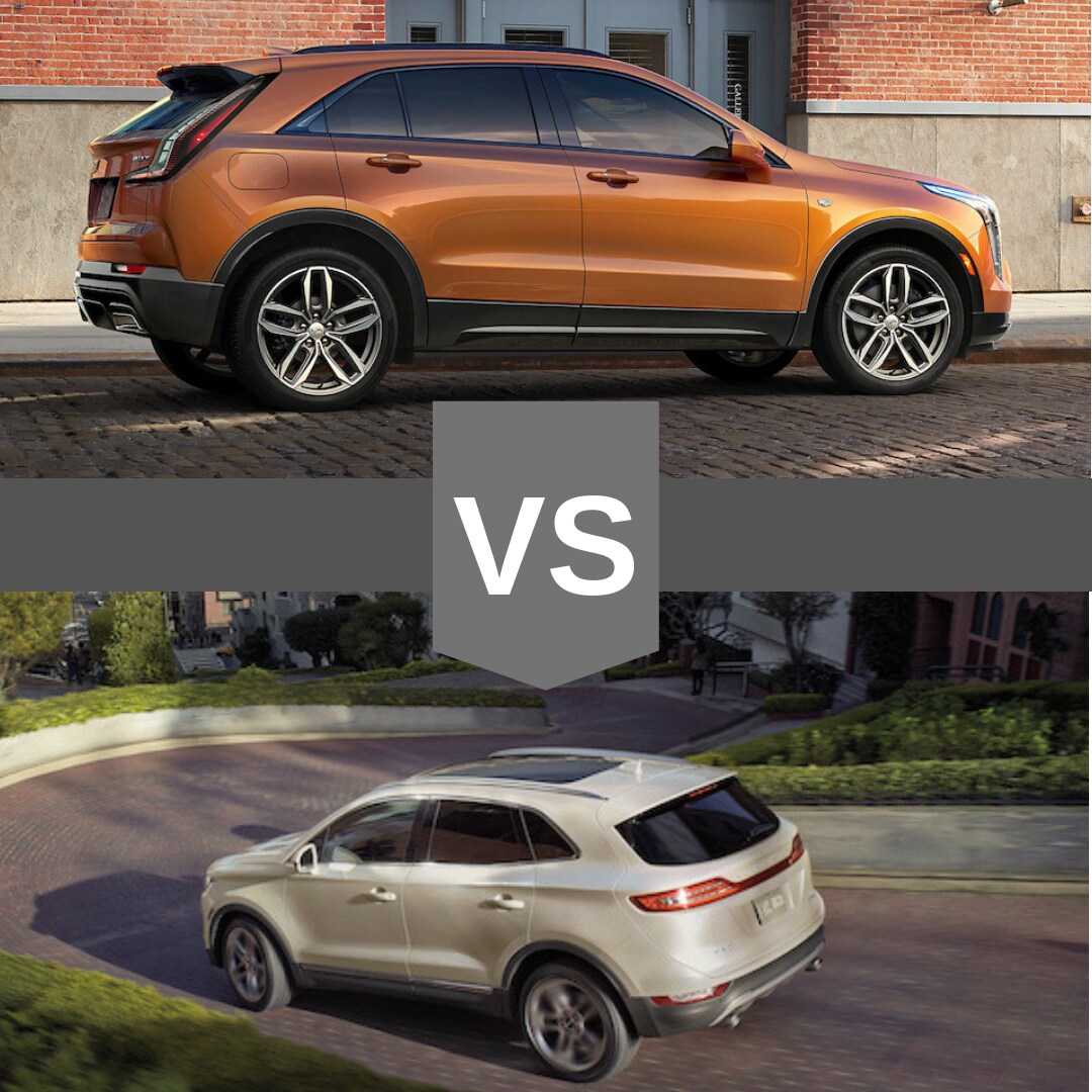 VS Vertical Design (5).png