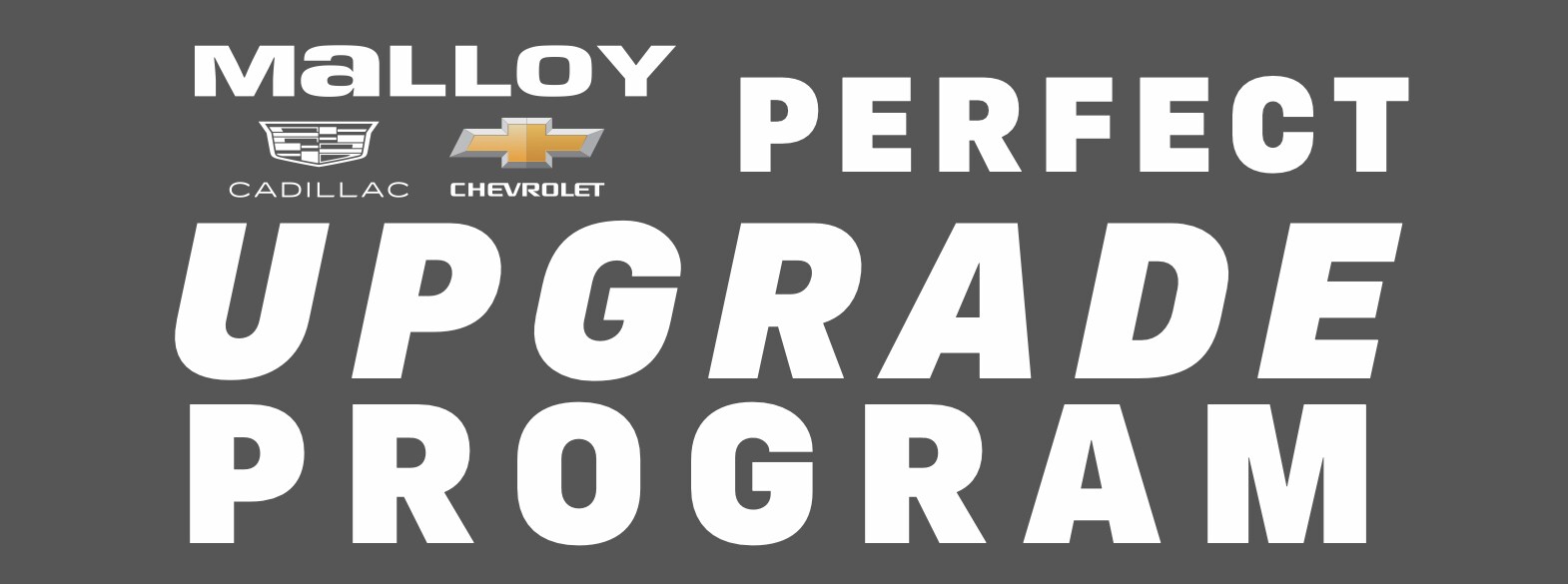 MALCHV-0792-G-22_X28-PERFECT%20UPGRADE%20PROGRAM%20POSTER-BE-V2%20copy.png
