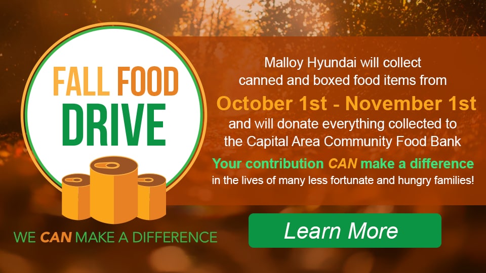 malloyhyundai_july_fallfooddrive_banner.jpg