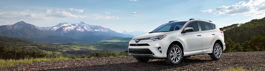 march_malloy_lpis_toyota_rav4_header.png