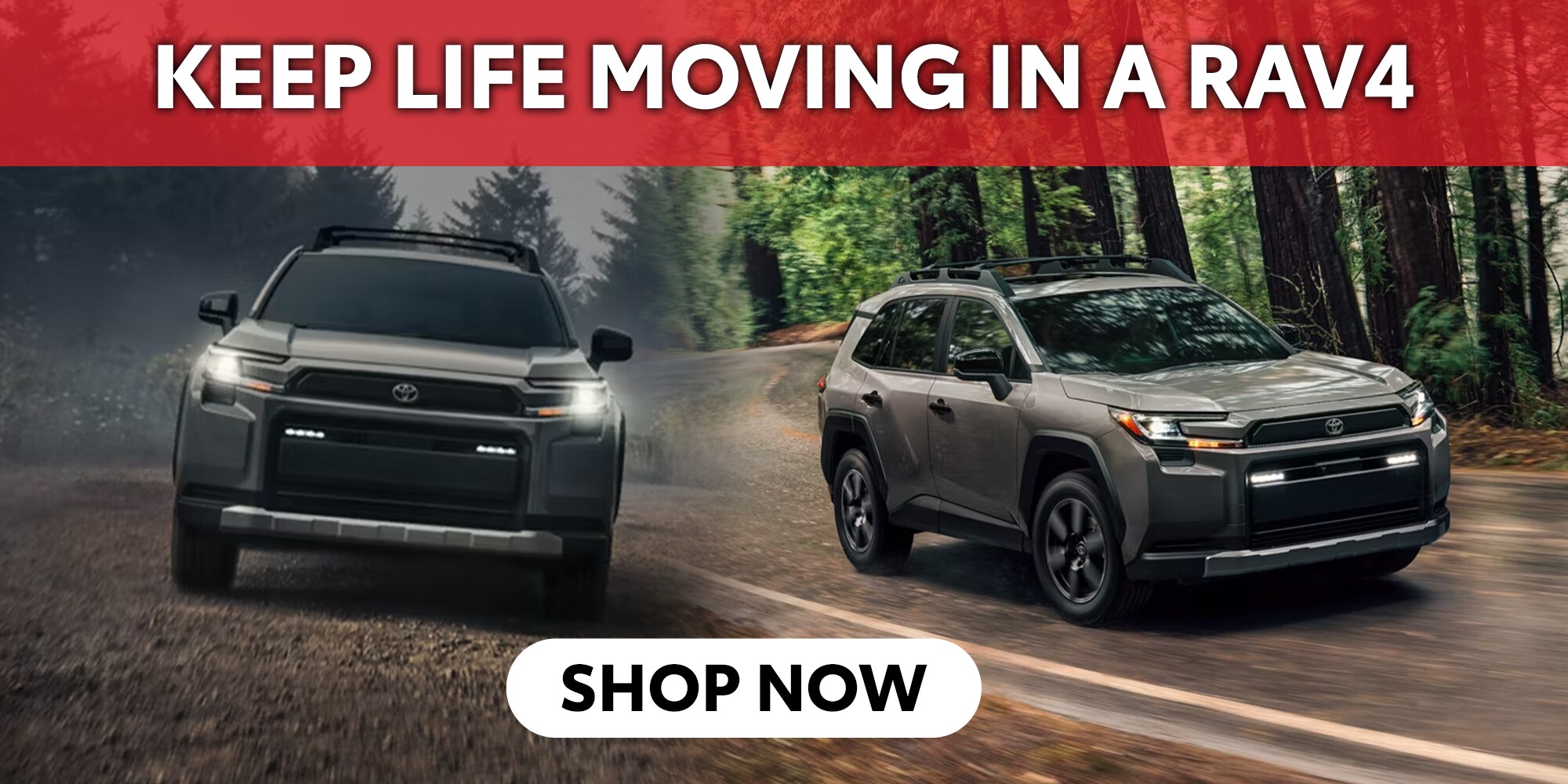 Toyota RAV4 shopping at Malloy Toyota of Winchester in Winchester, VA