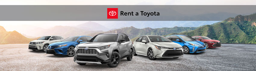 Rental-header-.jpg