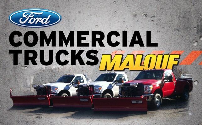 MaloufFord_Header.jpg
