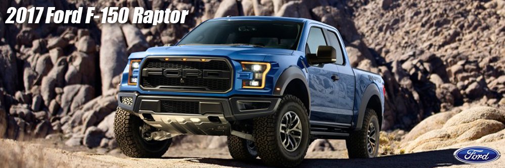 raptor.jpeg