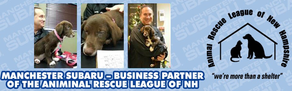 Manchester Subaru Supports the Animal Rescue League of NH