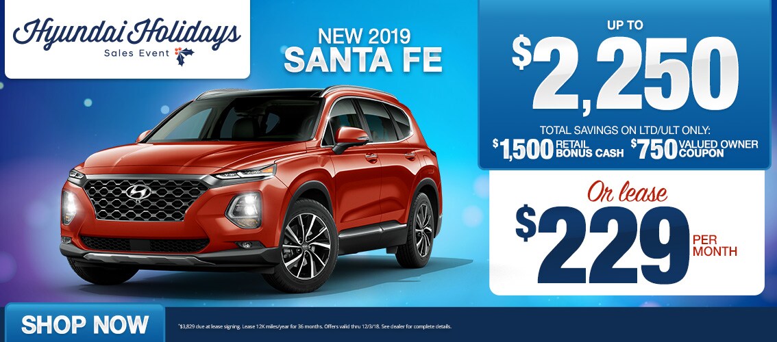 Hyundai Santa Fe Sport Special