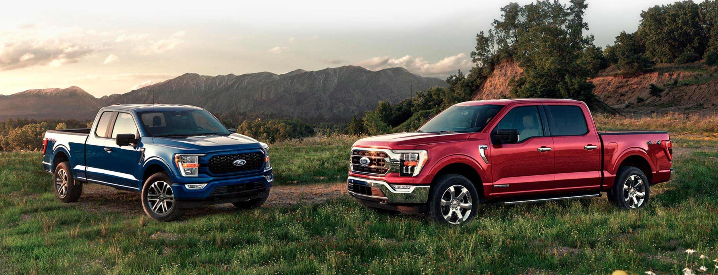 New Ford F150