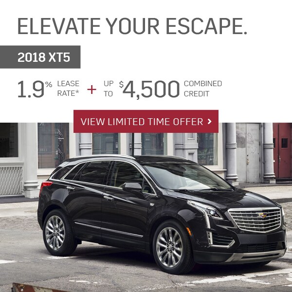Elevate your escape