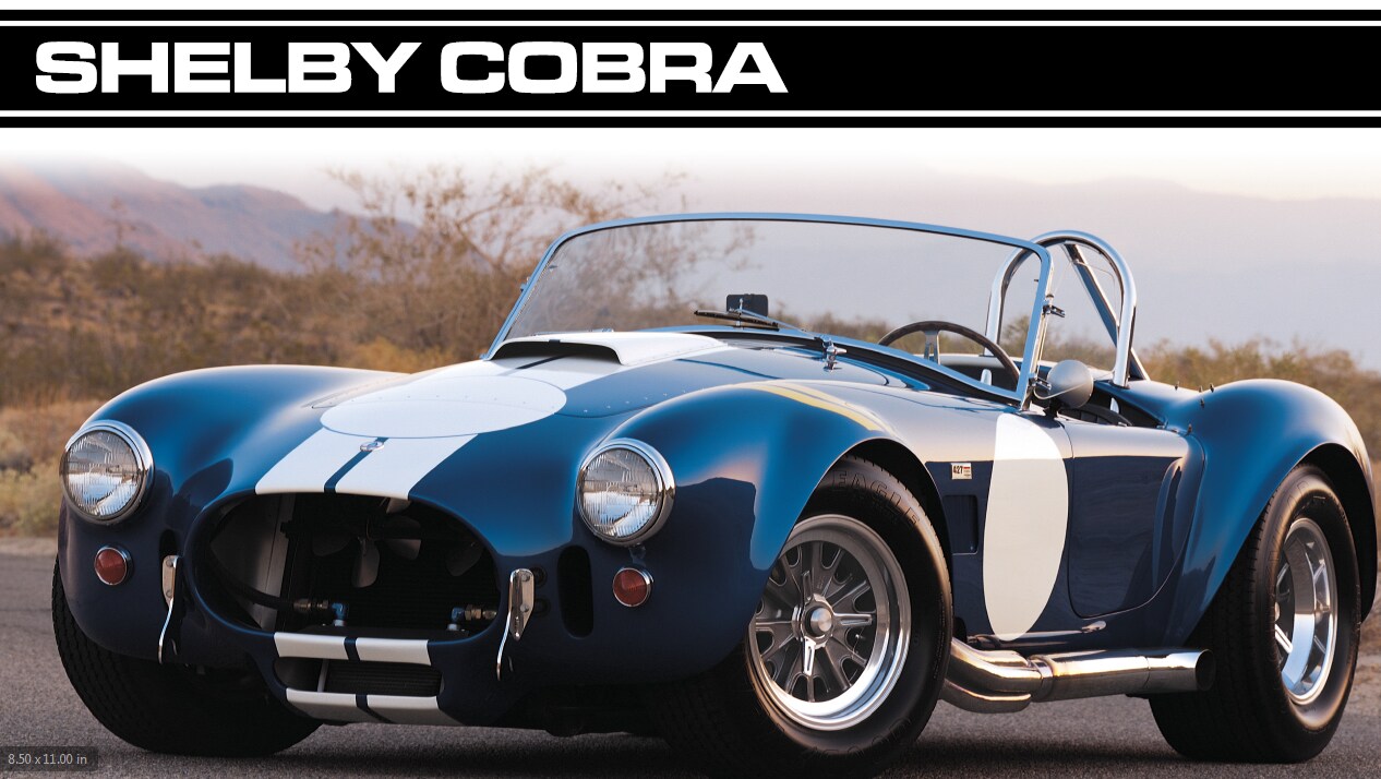 cobrapic.PNG
