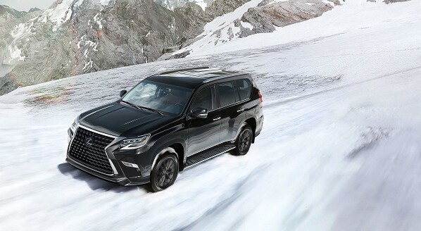 lexus gx460.png
