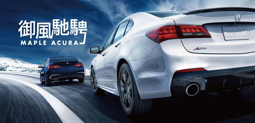 Maple-Acura.jpg