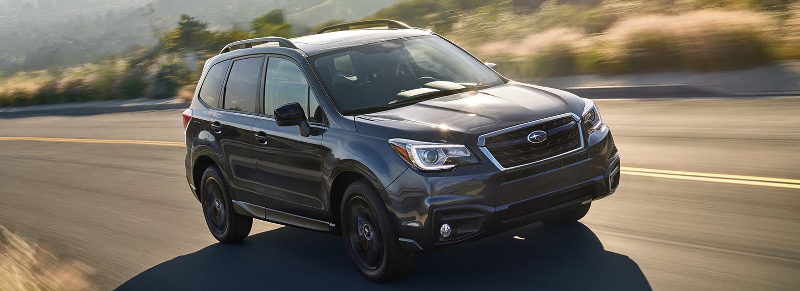 Forester.JPG
