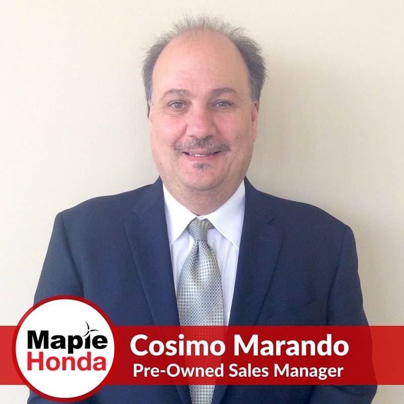 Maple_Staff_Cosimo.jpg