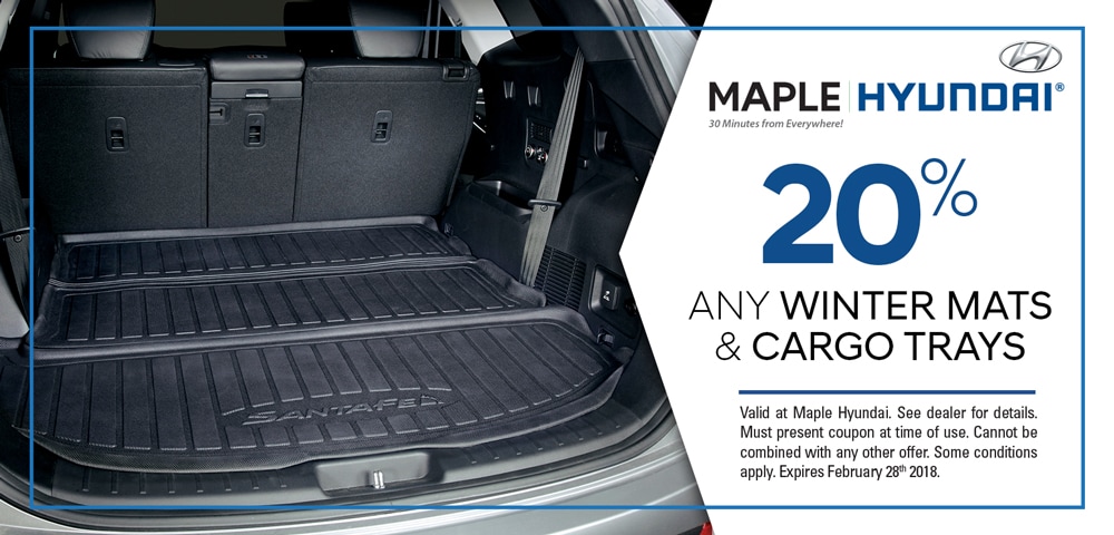 002A-18-Maple-Hyundai-Service-Promotions-1.jpg20180123-12474-1rtftq2.jpg