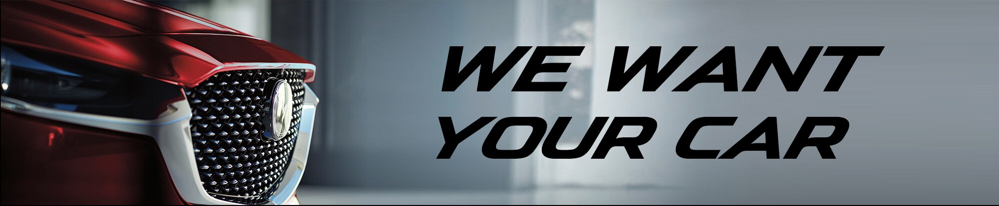 WE WANT YOUR CAR BANNER.jpg