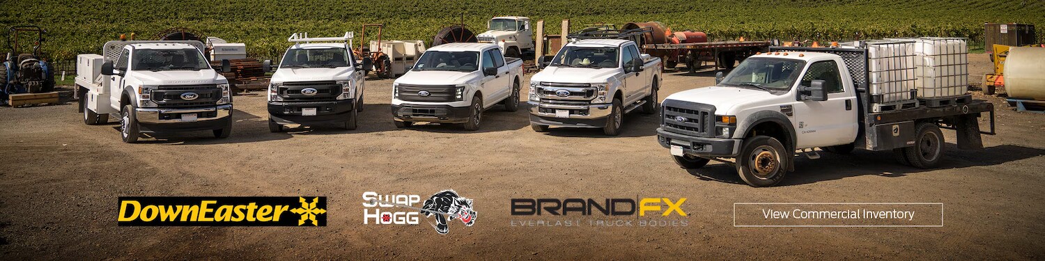 Ford commercial