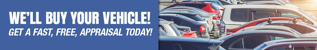 We Will Buy Your Vehicle