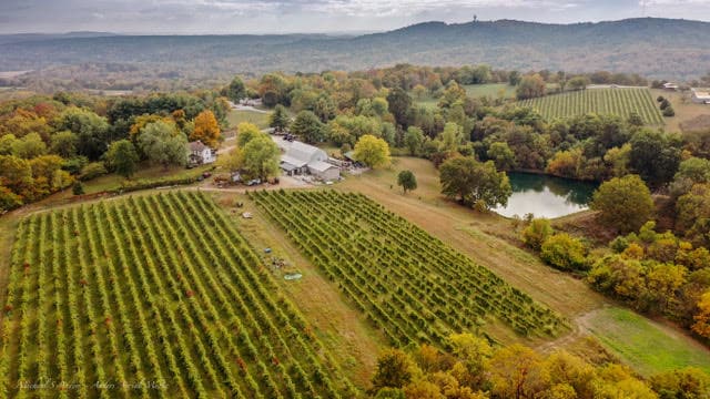 Peach Barn Winery and Cafe