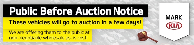 Auction Inventory