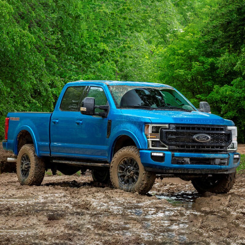blue-truck-in-the-woods.jpg