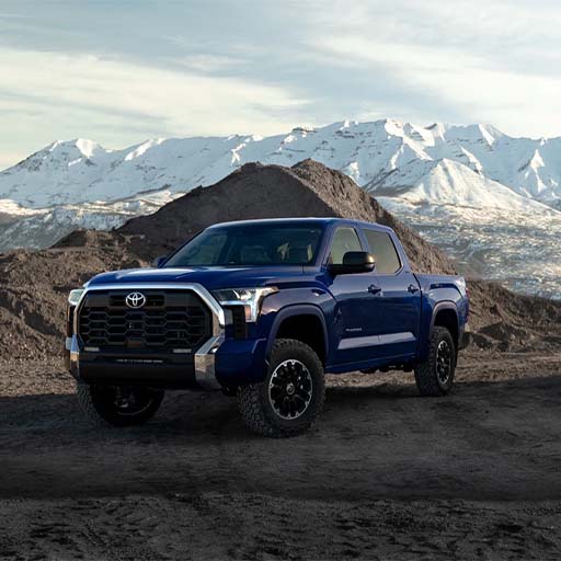 blue-truck-in-the-woods.jpg